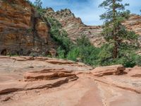 USA Mountain Road: Exploring Vast Open Spaces