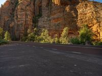 USA Mountain Road: Exploring Zion National Park