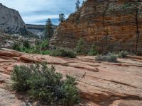 USA Mountain Scenic Road: Zion National Park