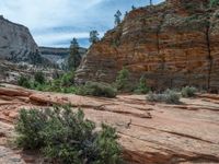 USA Mountain Scenic Road: Zion National Park