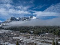 a cloud that is low and looking over a snowy mountain range in the distance is a pine forest