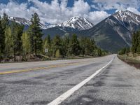 road in the mountains with pine trees and mountains in the background with blue sky with fluffy clouds