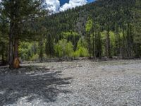 a forest is seen in this wide angle view in this photo from the bottom of the trail