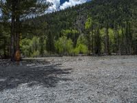 a forest is seen in this wide angle view in this photo from the bottom of the trail