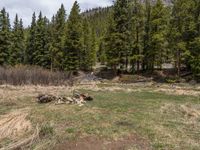 an image of a field that has snow on the mountain top in the background and a stream running through the forest