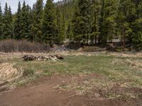 an image of a field that has snow on the mountain top in the background and a stream running through the forest