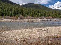 an image of a field that has snow on the mountain top in the background and a stream running through the forest