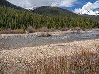 an image of a field that has snow on the mountain top in the background and a stream running through the forest