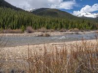 an image of a field that has snow on the mountain top in the background and a stream running through the forest