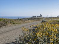 an empty dirt road leads to the ocean and beach side homes on the edge of the ocean