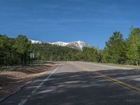 an empty road with lots of trees in the background in the wild region of colorado