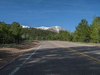 an empty road with lots of trees in the background in the wild region of colorado