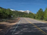 an empty road with lots of trees in the background in the wild region of colorado