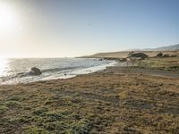 a grassy field by the shore and a cliff with rocks in the ocean in the background