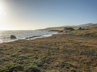 a grassy field by the shore and a cliff with rocks in the ocean in the background