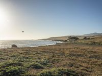 a grassy field by the shore and a cliff with rocks in the ocean in the background