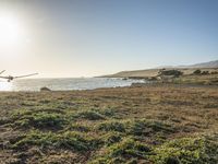 a grassy field by the shore and a cliff with rocks in the ocean in the background