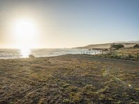 a grassy field by the shore and a cliff with rocks in the ocean in the background