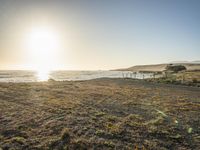 a grassy field by the shore and a cliff with rocks in the ocean in the background