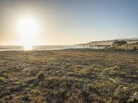 a grassy field by the shore and a cliff with rocks in the ocean in the background