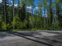 a scenic, winding road on the edge of a mountain range surrounded by tall trees