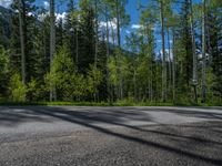 a scenic, winding road on the edge of a mountain range surrounded by tall trees