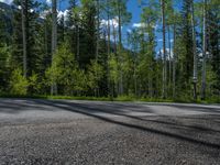 a scenic, winding road on the edge of a mountain range surrounded by tall trees