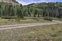 the road to the ski lodge in a valley surrounded by trees and grass on the side of a mountain slope