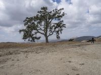 a lone tree on the side of a dry grass hill in front of two people with bicycles