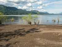 a man standing in the sand near a body of water with trees and shrubs around him