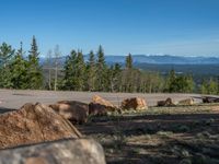 the mountains are visible in the distance from this wide, empty road, overlooking a wide landscape and forest