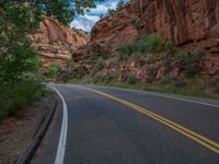 USA Nature: A Road Cutting Through the Asphalt Landscape