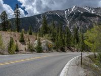 a curve road through a forest with a mountain range in the distance in the background