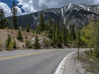 a curve road through a forest with a mountain range in the distance in the background