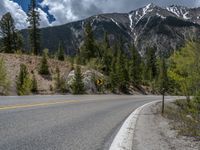 a curve road through a forest with a mountain range in the distance in the background