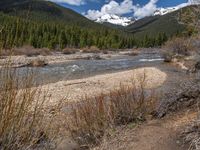 an image of a field that has snow on the mountain top in the background and a stream running through the forest