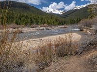 an image of a field that has snow on the mountain top in the background and a stream running through the forest