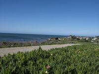 a person riding a bike on a trail near the ocean with a view of buildings