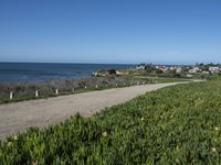 a person riding a bike on a trail near the ocean with a view of buildings