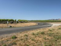 USA Nature: Trees, Fields, and Low Vegetation