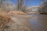 a brown river with sand next to some trees and water by the bank is blue sky