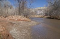 a brown river with sand next to some trees and water by the bank is blue sky