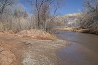 a brown river with sand next to some trees and water by the bank is blue sky