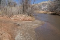 a brown river with sand next to some trees and water by the bank is blue sky