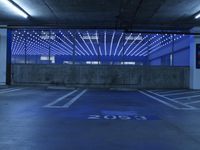 USA Night: Metropolitan Area Illuminated