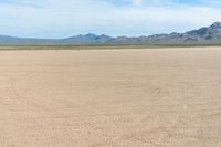 a white horse standing on top of a dirt covered field in the middle of a desert