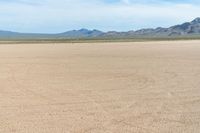 a white horse standing on top of a dirt covered field in the middle of a desert