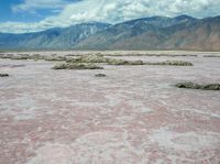 the pink colored desert is empty and has mountains in the background, and water in the foreground