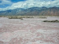 the pink colored desert is empty and has mountains in the background, and water in the foreground