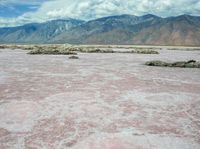 the pink colored desert is empty and has mountains in the background, and water in the foreground